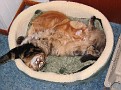 IMG 2812