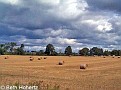 Farmland001
