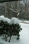 P1266876.JPG