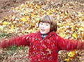 IMG 2793