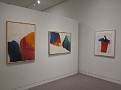 IMG 4341