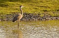 IMG 4654