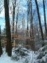 DSCF0007