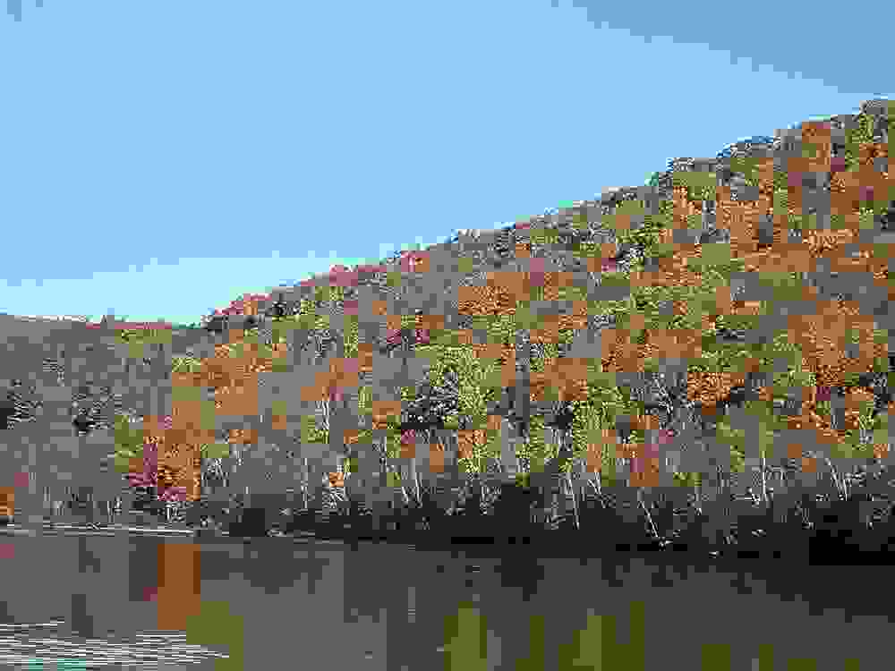 DSCF0263-vi.jpg
