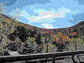 DSCF0236vi.jpg