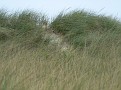 Imported Photos 00084