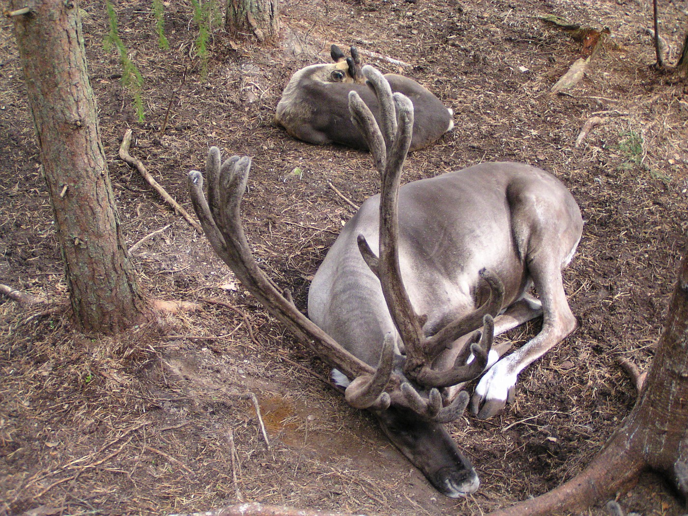 2004 07 26 07 JPG