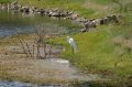 IMG 6762