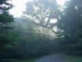 Sunrise 8-8-04 1
