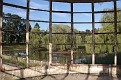 011.JPG