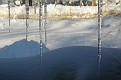 P1166473.JPG