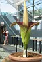 IMG 0732 (3)