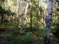 DSC01946