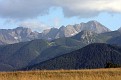 IMG_1457.jpg