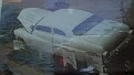 zmerc frank-straykatkustoms.jpg