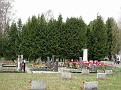 IMG 1294