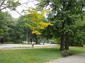 Picture 002