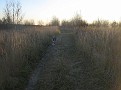 IMG 0221