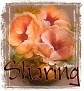 1Sharing-peachfloral