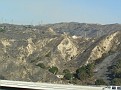 Nov 08 Fires 014