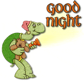 GoodNightTurtle-vi.gif