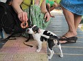IMG 0505