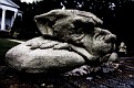 IMG 0523