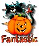 1Fantastic-hallocat08