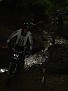 DSC05191.JPG