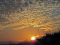 IMG 0279