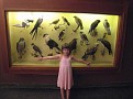 Picture (41)