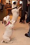 IMG 7775