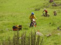 DSC08562.JPG