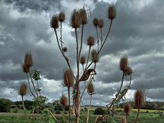 Herbstwolken haben den Sommer vertrieben