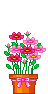 minipinkflowers