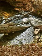 Hasselbach
