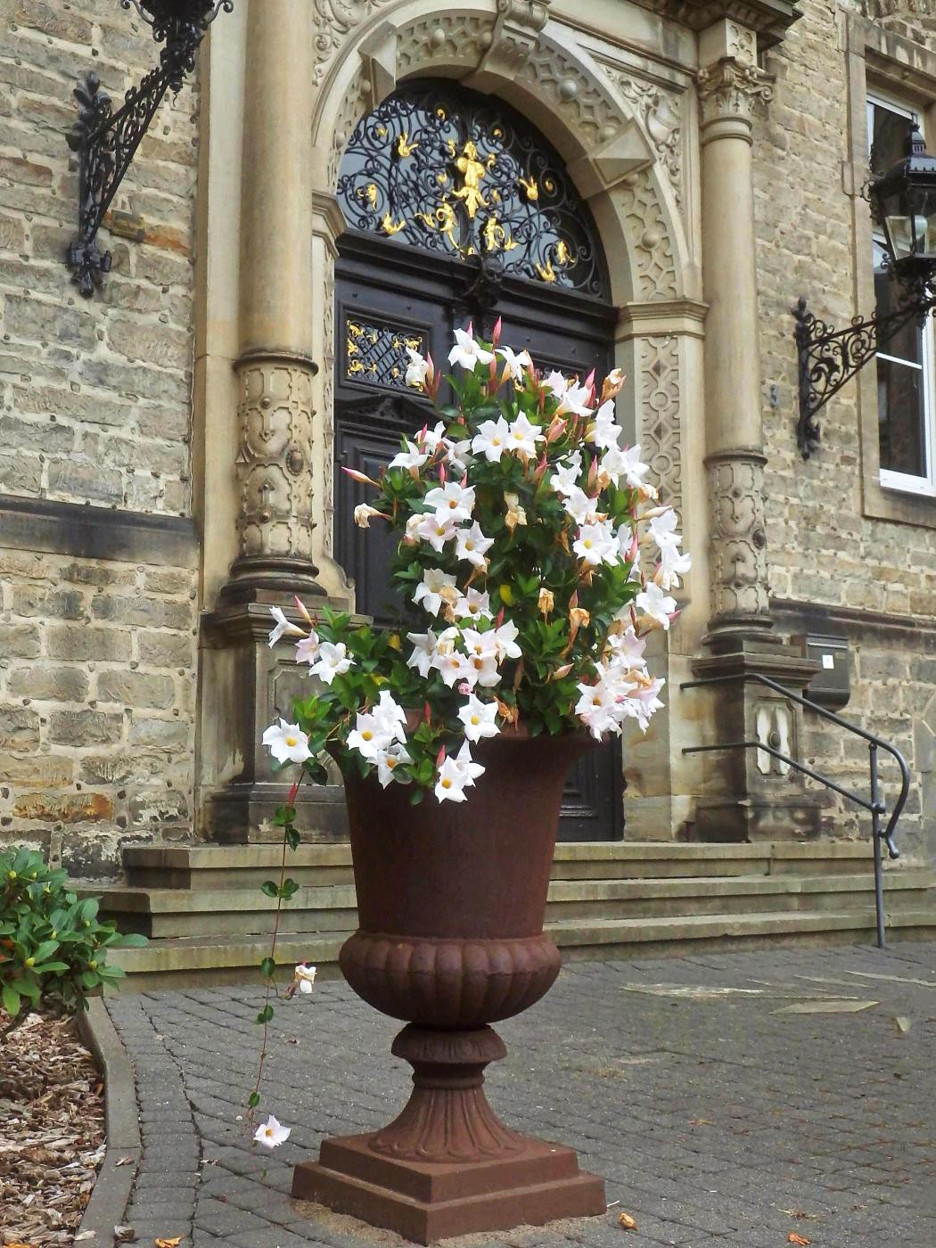 Schloss Bückeburg