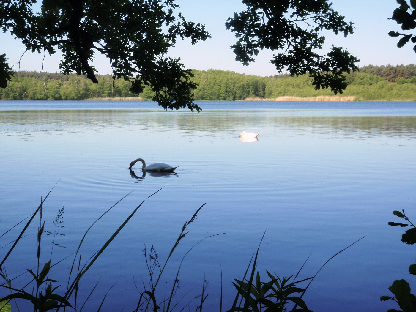 600 km Brevet 19.+20.05.2012 