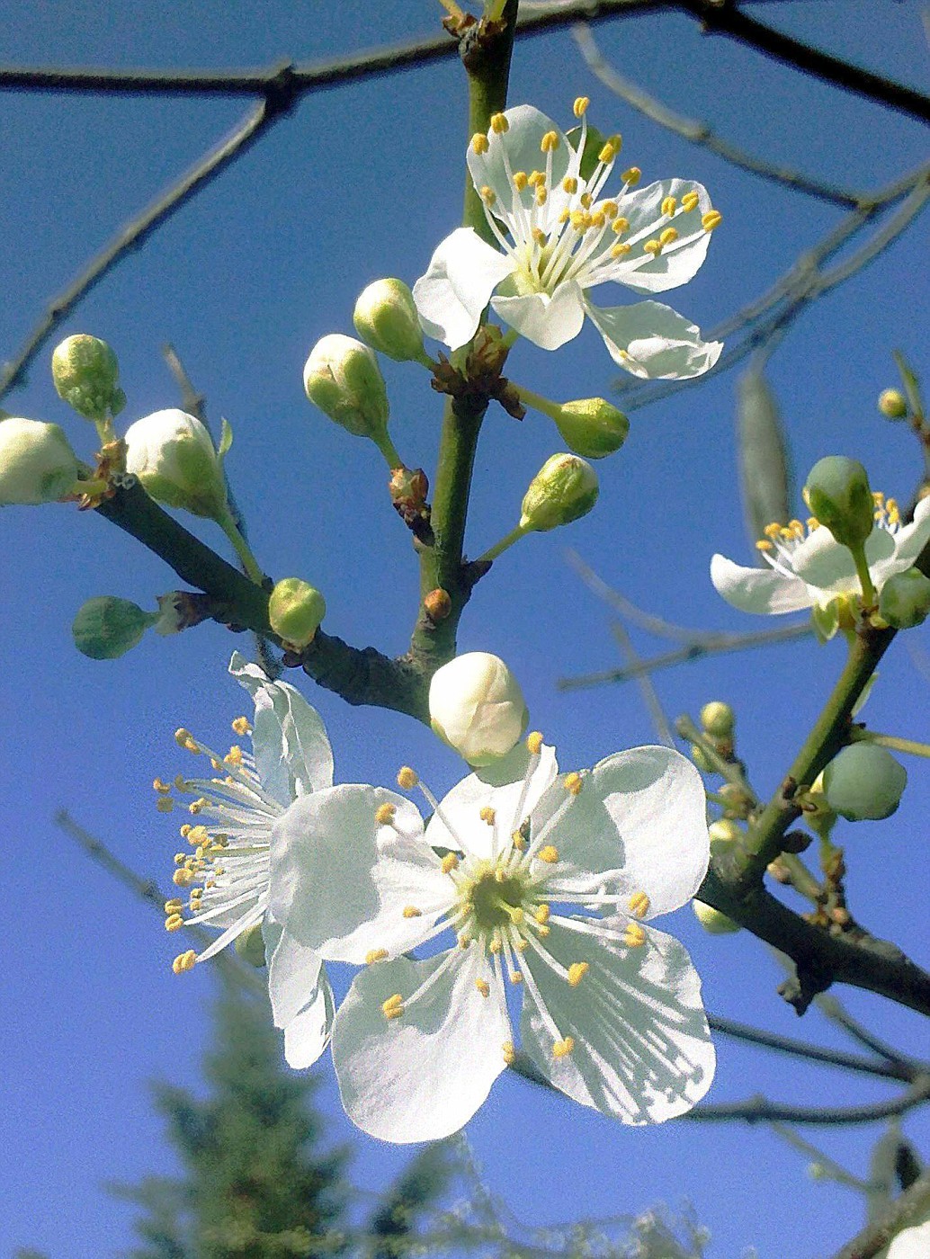 The spring is already visible :-)