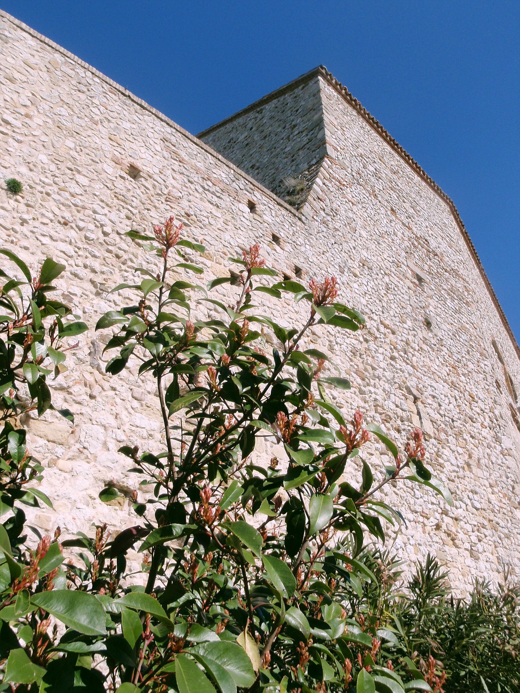 Fortezza di Malatesta da Verucchio