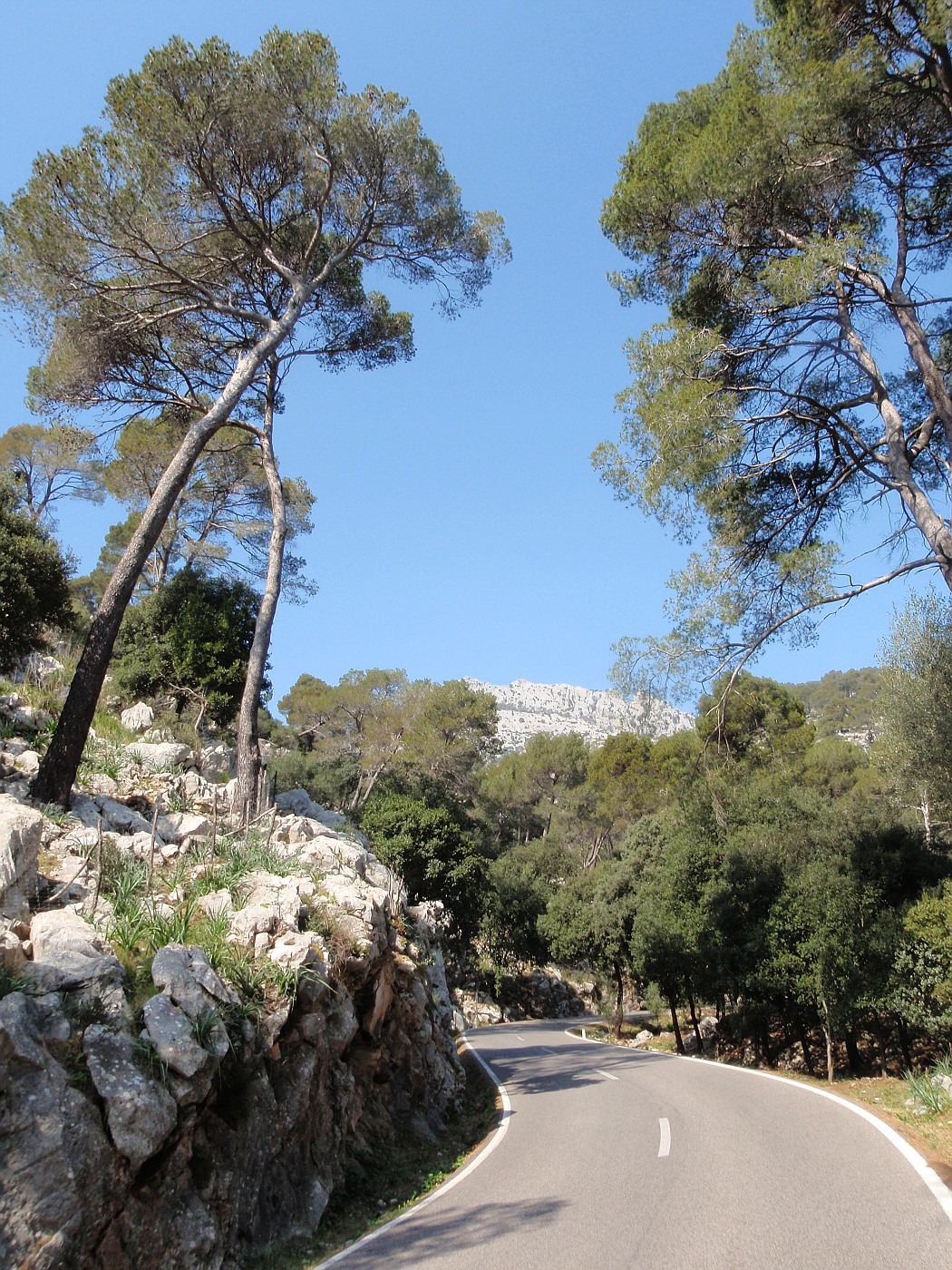 Coll de sa Batalla