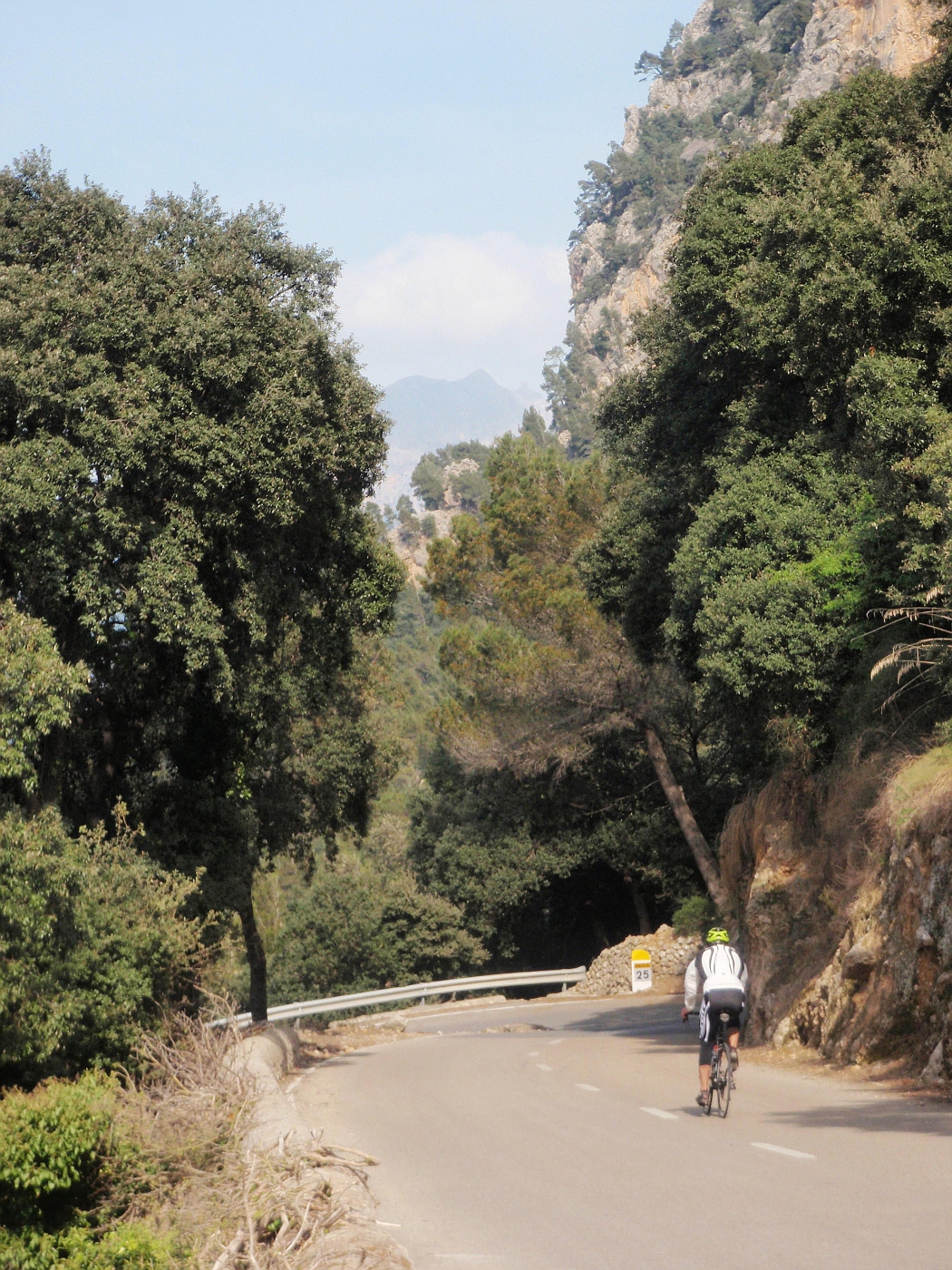 Coll de Sóller