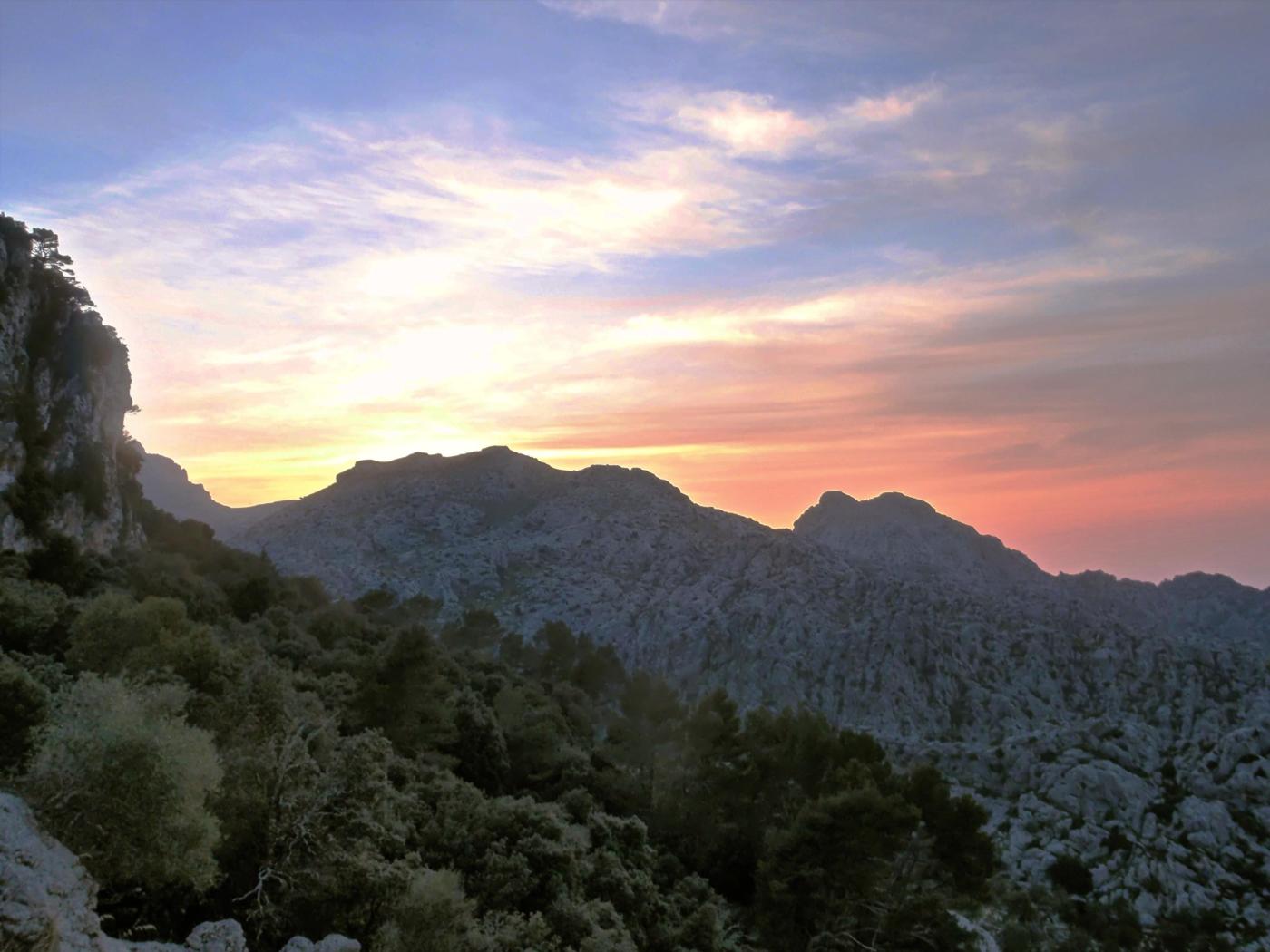 Coll de Femenia