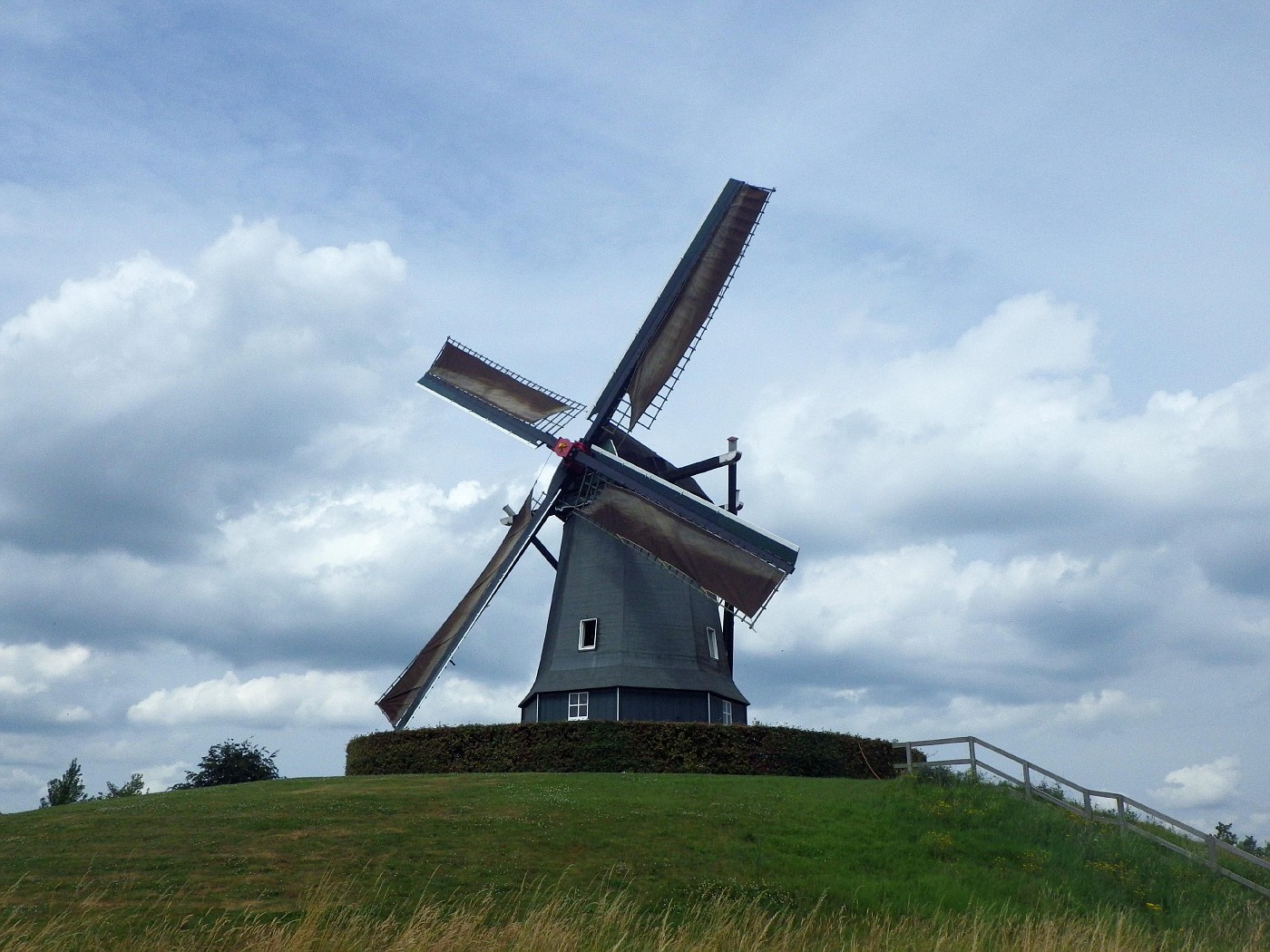 Oude Molen in Kruiningen