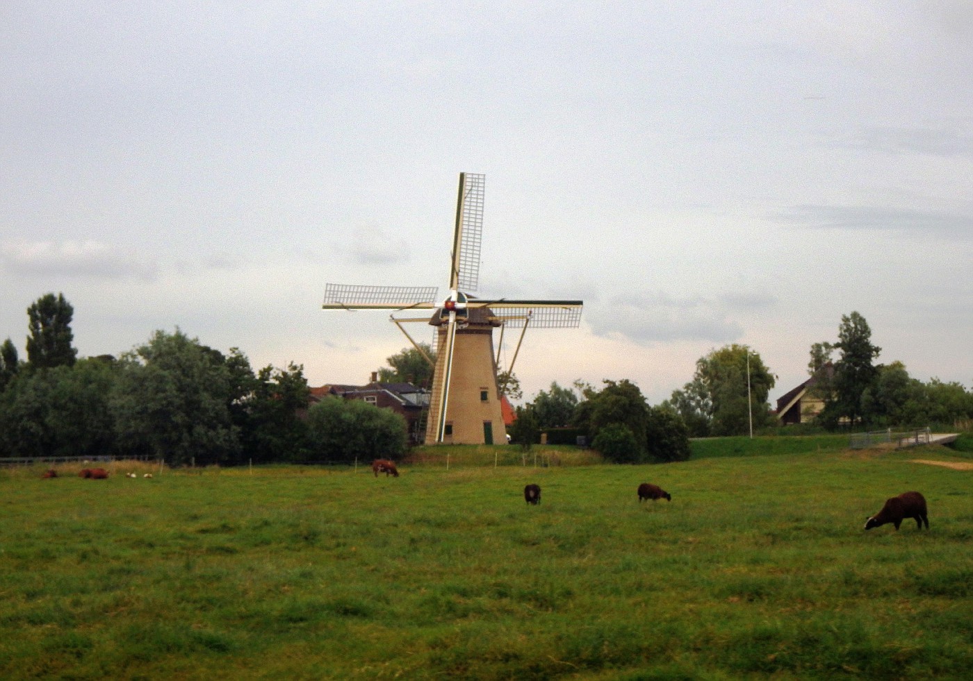 Drie Lelies Maasland