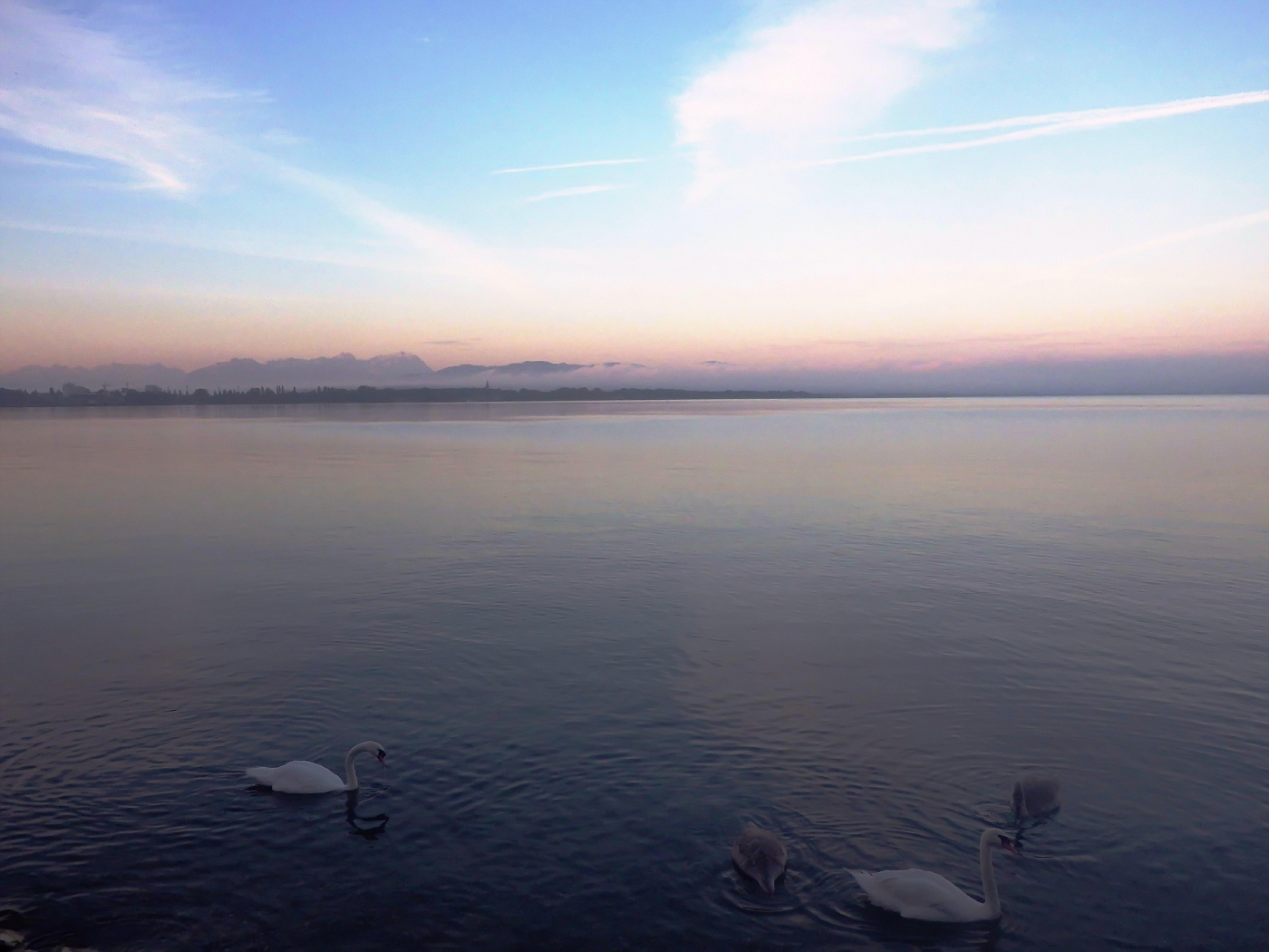 Lake Constance