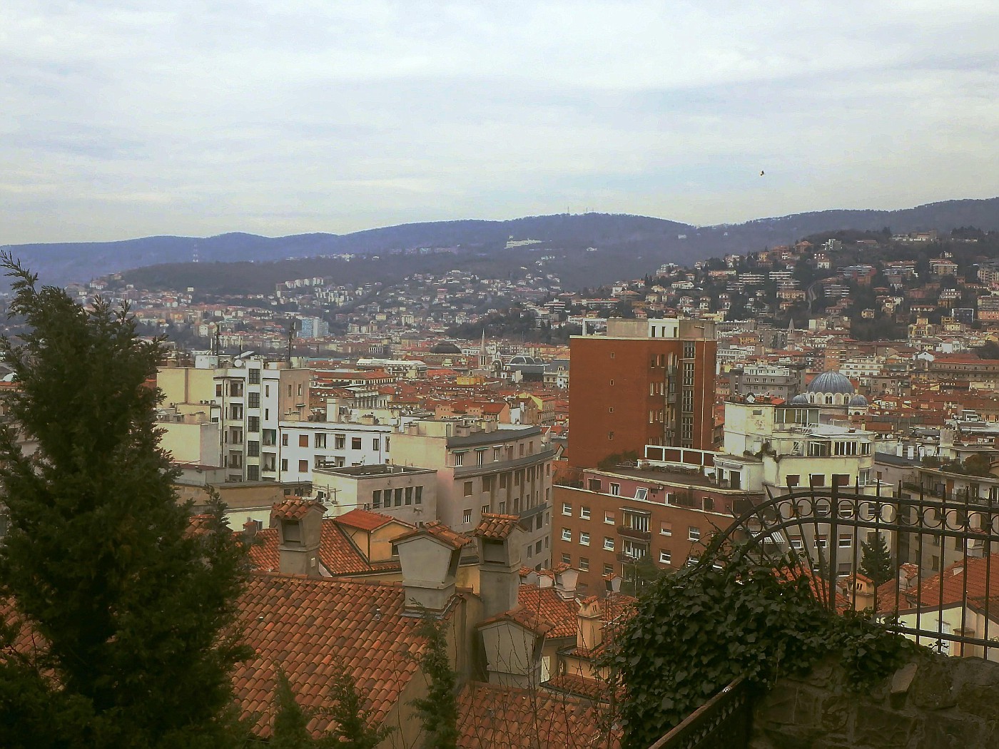 Vista su Trieste