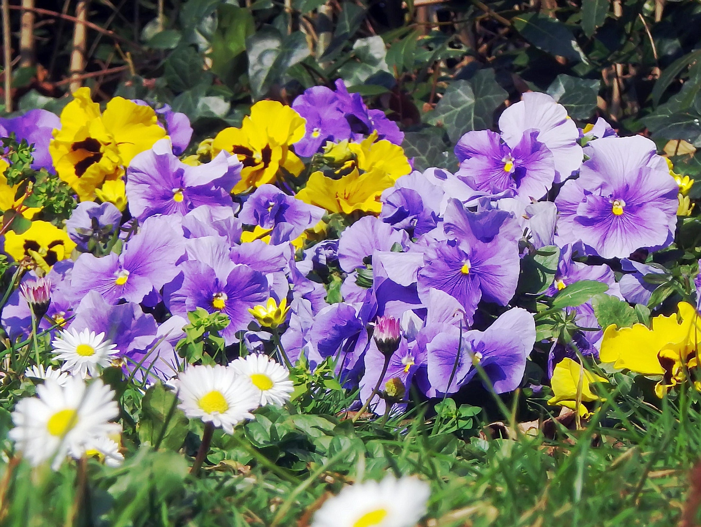 Giardino Pubblico Muzio Tommasini