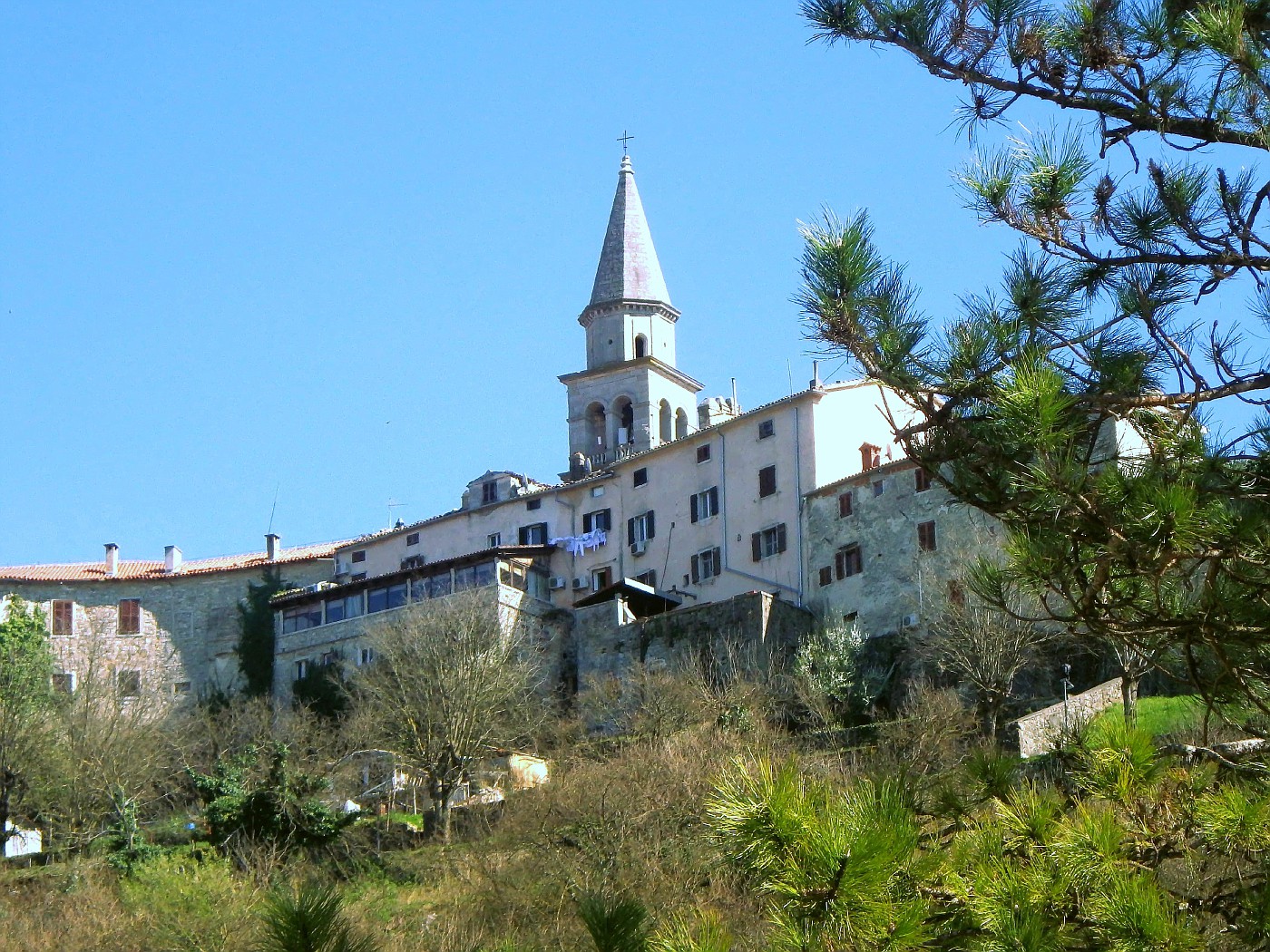 Buzet