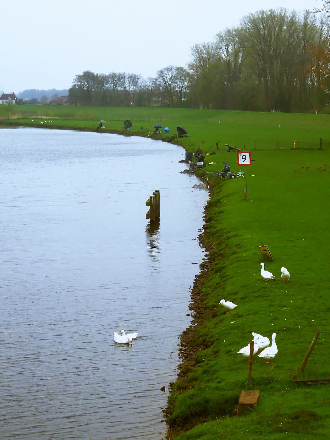 Overijsselsche Vecht